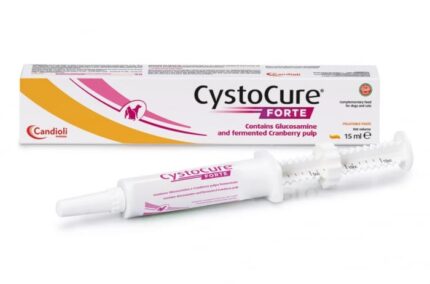 Cystocure Forte pastă,15 ml